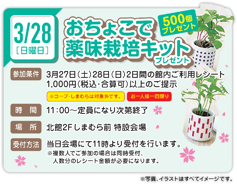 お楽しみワークショップ　3/28 おちょこで薬味栽培キットプレゼント